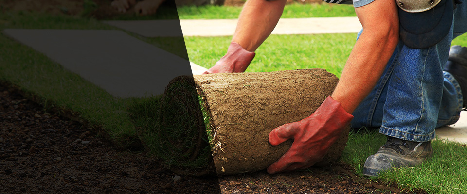 Walnutport Landscapers